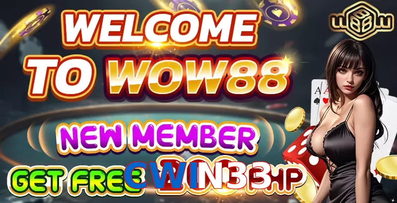 CWIN33