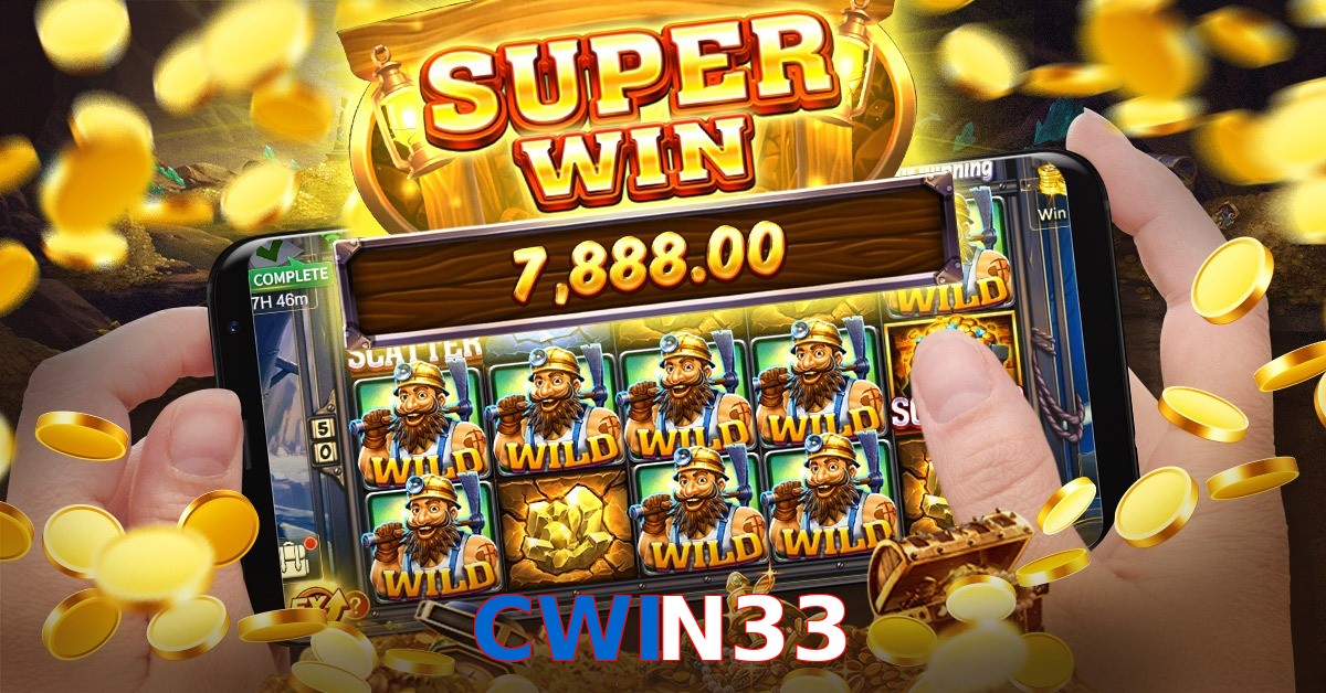 CWIN33