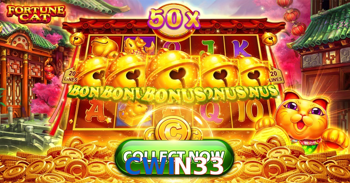 CWIN33