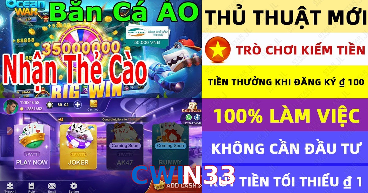 CWIN33