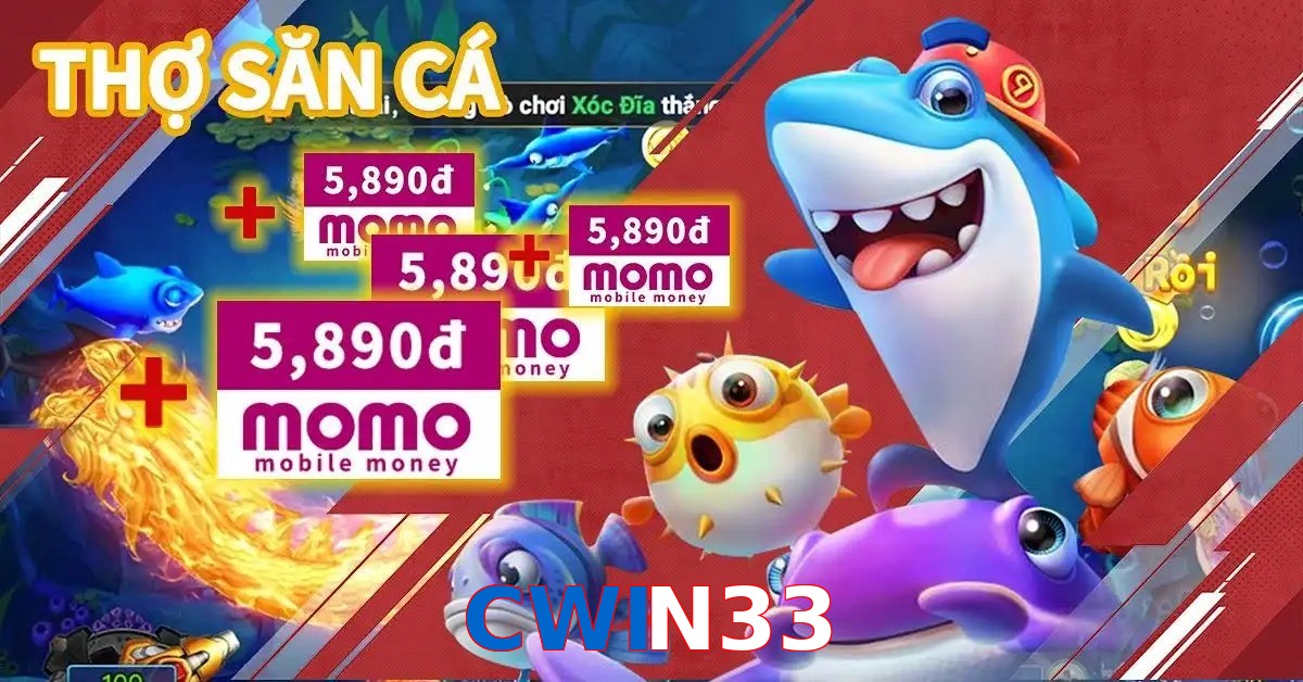 CWIN33