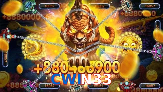 CWIN33