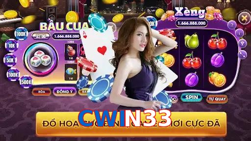 CWIN33