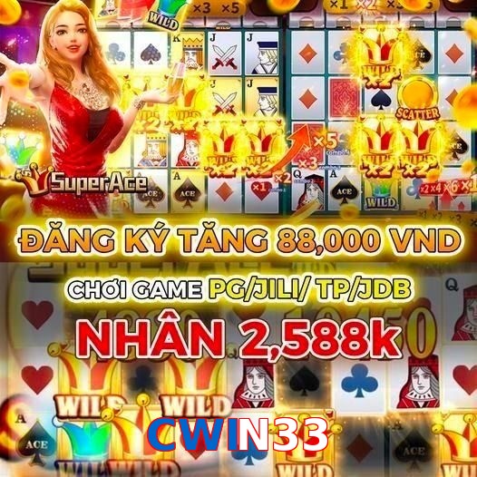CWIN33