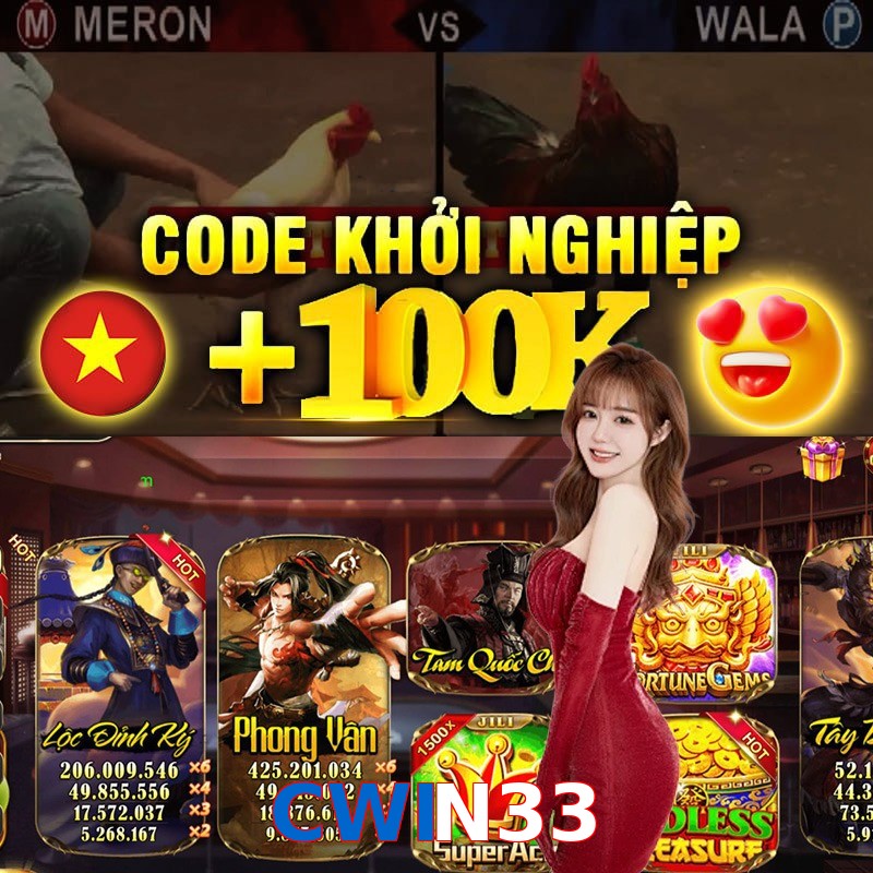 CWIN33